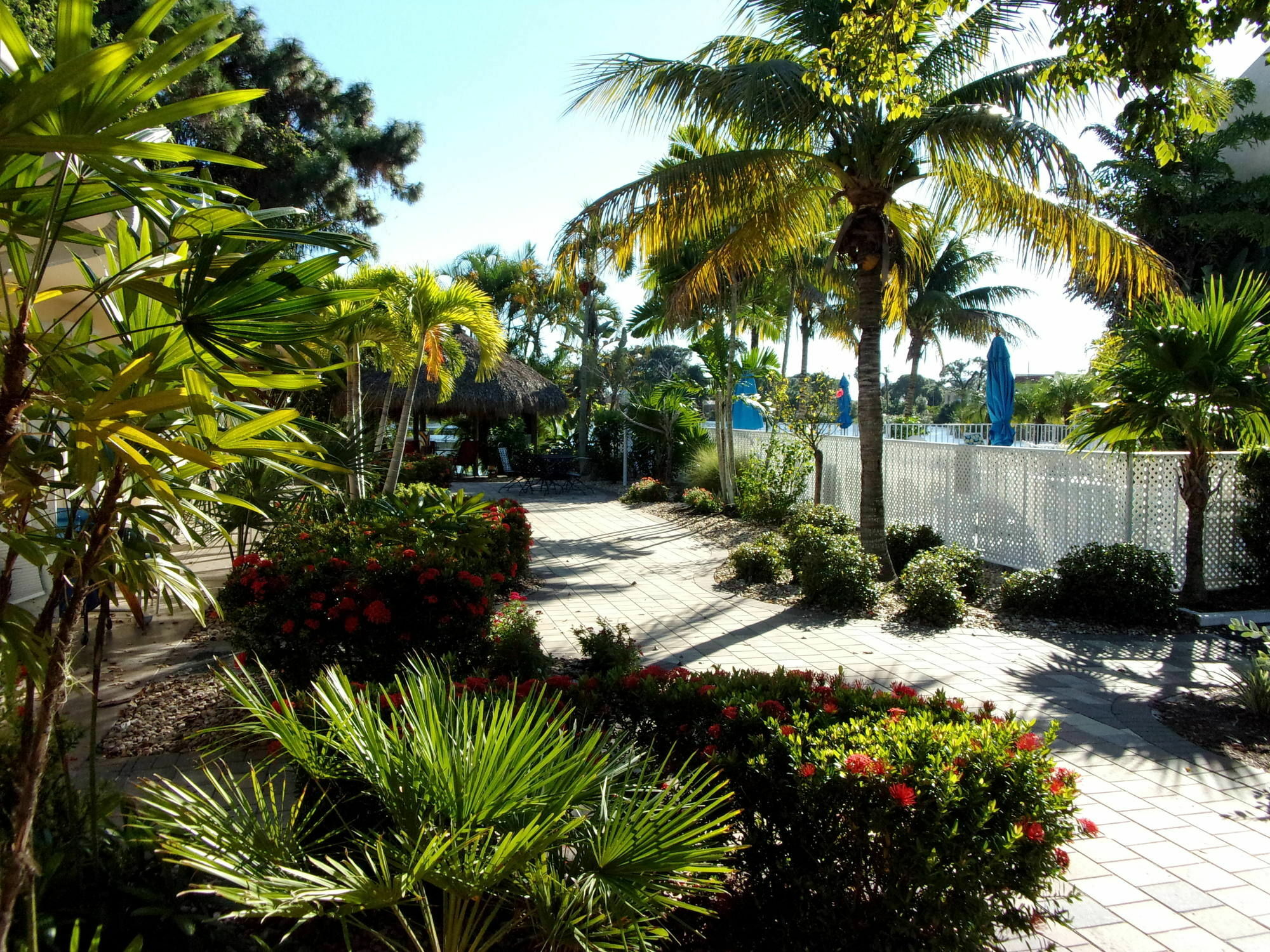 Marco Island Lakeside Inn Exterior photo