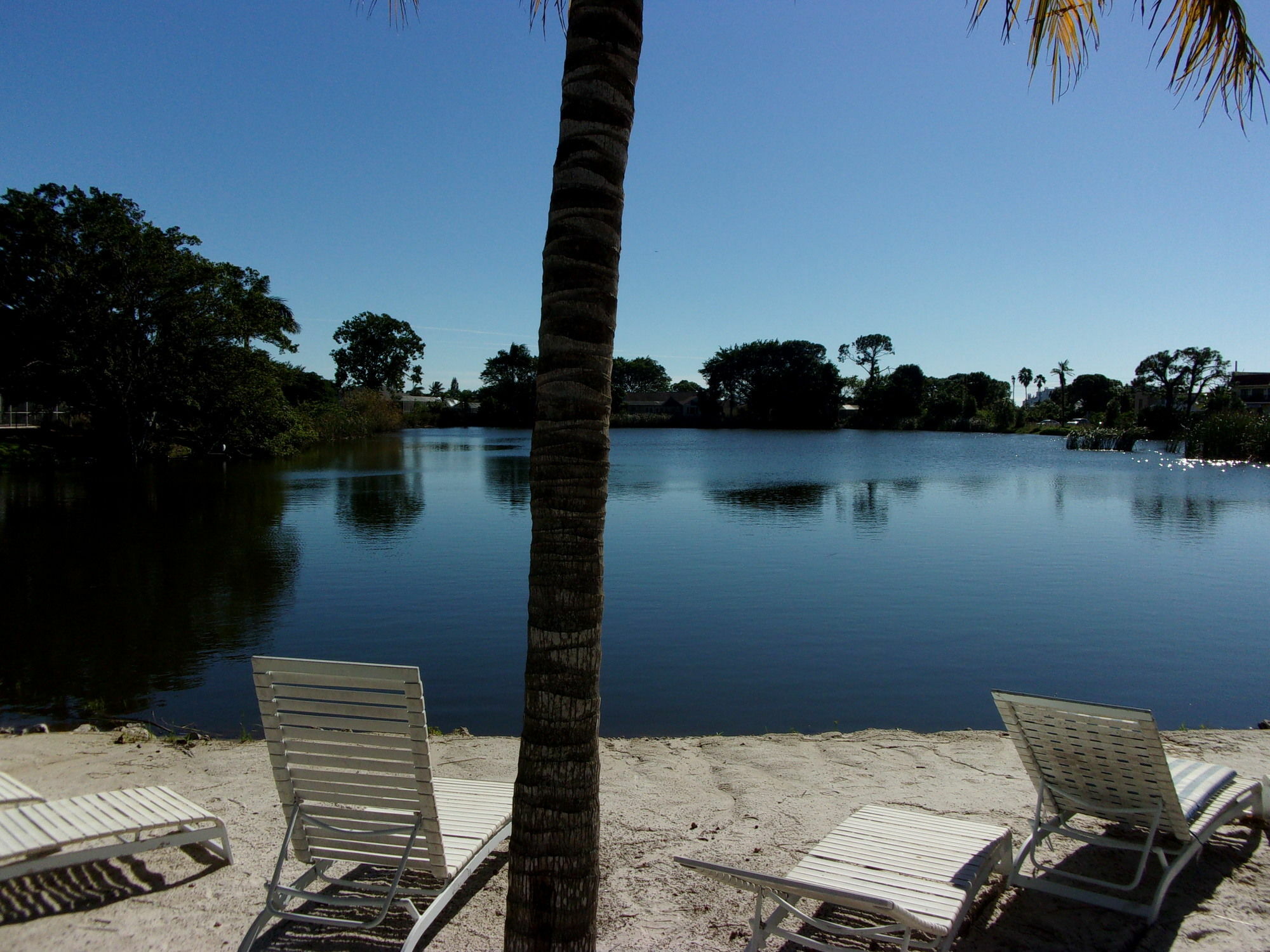 Marco Island Lakeside Inn Exterior photo